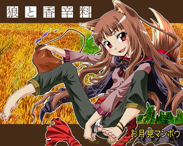 Anime picture 1280x1024 with spice and wolf horo tagme