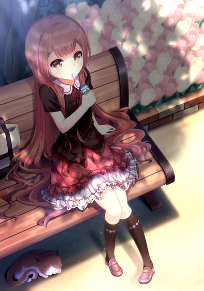 Anime picture 1468x2088 with yuru yuri doga kobo oomuro hanako kyouou ena single long hair tall image looking at viewer blush fringe brown hair sitting brown eyes drinking girl skirt flower (flowers) bag drink clothes