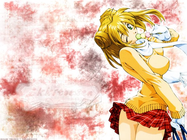Anime picture 1280x960 with ikkitousen sonsaku hakufu light erotic tagme