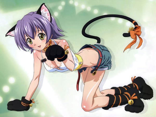 Anime picture 1600x1200 with mahou sensei negima! izumi ako light erotic animal ears cat girl girl