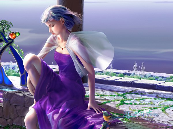 Anime picture 1600x1200 with kagaya single short hair sitting blue hair eyes closed realistic leg hug 3d girl dress plant (plants) animal bird (birds) cloak grass