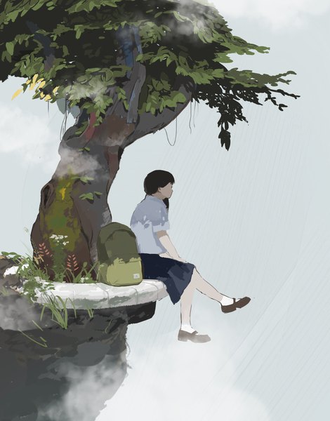 Anime picture 1644x2098 with original rakoshirako single long hair tall image black hair sitting looking away sky full body bent knee (knees) outdoors profile short sleeves landscape hands clasped hand on knee fog girl skirt