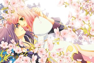 Anime picture 1186x800
