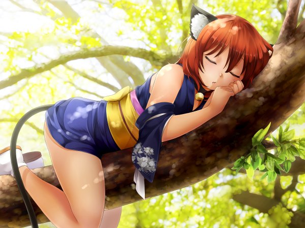 Anime picture 2400x1800 with hunie pop momo (hunie pop) ninamo single highres short hair hair between eyes brown hair animal ears tail eyes closed animal tail sunlight cat ears cat girl cat tail sleeping between legs bell collar girl