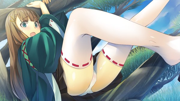 Anime picture 1280x720 with sengoku hime 5 single long hair blush open mouth blue eyes light erotic brown hair wide image game cg girl thighhighs underwear panties plant (plants) white thighhighs tree (trees)