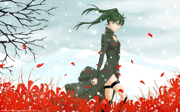 Anime picture 2560x1600 with d.gray-man lenalee lee hoshino katsura single long hair highres wide image purple eyes twintails green hair tears snowing winter snow girl flower (flowers) petals coat higanbana