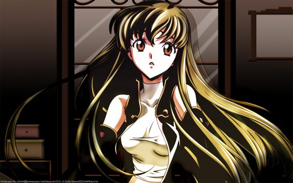 Anime picture 1440x900 with code geass sunrise (studio) c.c. single long hair looking at viewer fringe breasts wide image bare shoulders brown eyes payot indoors parted lips green hair girl detached sleeves