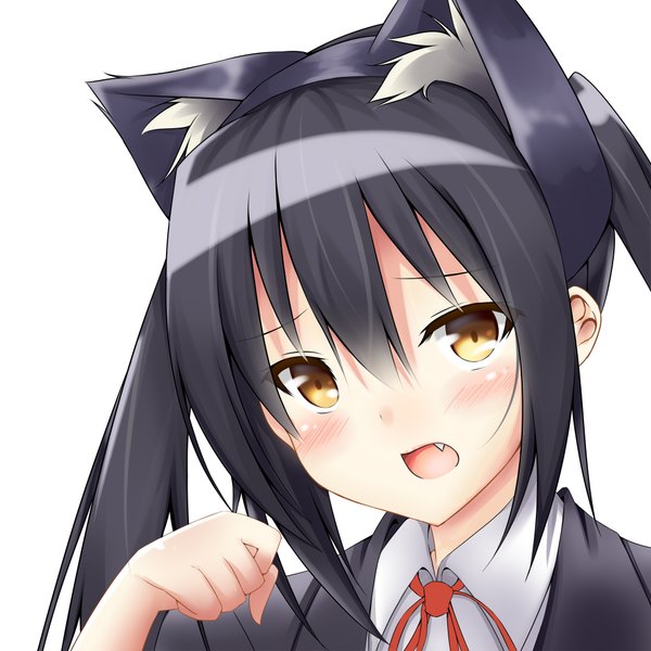 Anime picture 2000x2000 with k-on! kyoto animation nakano azusa kouyadoufu dx single long hair looking at viewer blush highres open mouth black hair simple background white background twintails brown eyes animal ears cat ears teeth cat girl fang (fangs)
