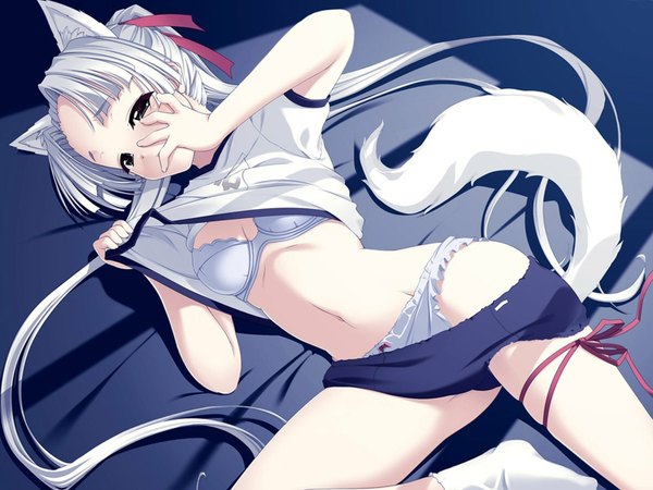 Anime picture 1600x1200 with level justice meiju wolf-hagen sasaki tamaru single blush light erotic animal ears silver hair tail very long hair animal tail cat ears cat girl fox girl undressing shirt lift girl uniform underwear panties