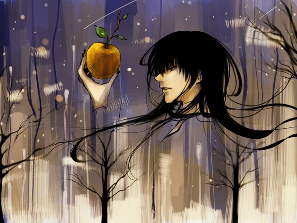 Anime picture 3000x2250 with original me rou (artist) long hair highres black hair profile plant (plants) tree (trees) fruit apple