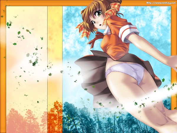 Anime picture 1280x960 with looking at viewer blush short hair open mouth light erotic brown hair yellow eyes pantyshot looking down underwear panties plant (plants) tree (trees)