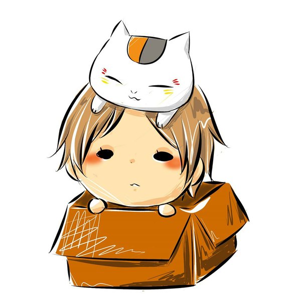 Anime picture 1000x1001 with natsume yuujinchou brains base (studio) natsume takashi madara (nyanko-sensei) tall image blush short hair simple background blonde hair white background black eyes chibi animal on head in container solid eyes in box animal cat box