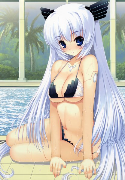 Anime picture 4176x6024 with elle prier (game) dengeki hime rafale nana moric (artist) single long hair tall image looking at viewer blush highres breasts blue eyes light erotic bare shoulders absurdres white hair girl navel swimsuit bikini
