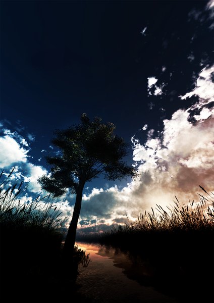 Anime picture 1100x1556 with original y-k tall image sky cloud (clouds) no people landscape river plant (plants) tree (trees)