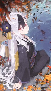 Anime-Bild 2480x4412