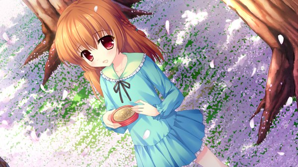 Anime picture 1280x720 with alia's carnival! asamiya shiina mitha long hair open mouth red eyes brown hair wide image game cg loli cherry blossoms girl dress plant (plants) petals tree (trees)