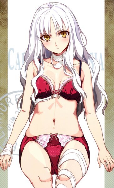 Anime picture 3469x5709 with fate (series) fate/hollow ataraxia type-moon caren hortensia morii shizuki single long hair tall image blush highres light erotic yellow eyes absurdres white hair underwear only girl navel underwear panties lingerie