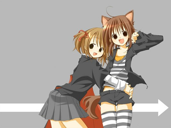 Anime picture 1024x768 with animal ears cat ears wallpaper tagme