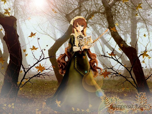 Anime picture 1024x768 with rozen maiden suiseiseki tagme