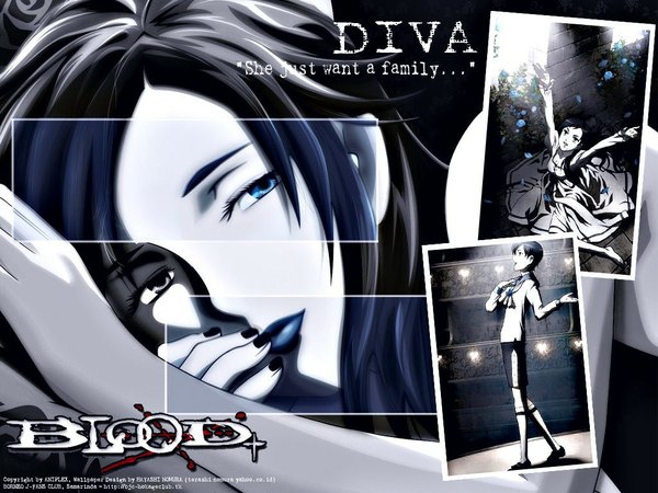 Аниме картинка 1024x768 с кровь+ production i.g diva (blood+) длинные волосы голубые глаза чёрные волосы надпись девушка платье белое платье голубая роза