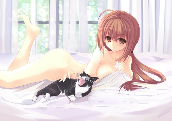 Anime picture 2480x1748 with dreamlight2000 highres breasts light erotic brown hair brown eyes girl cat