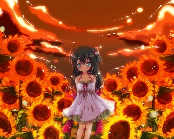 Anime picture 1280x1024 with original ichiyou moka single long hair blush black hair green eyes loli girl flower (flowers) sundress sunflower