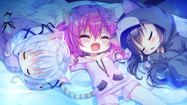 Anime picture 1280x720 with koneko neko neko nekokawa shirone nekohata miyabi nekoya kohina noda shuha long hair blush fringe open mouth black hair hair between eyes wide image multiple girls animal ears pink hair game cg ahoge white hair tail lying