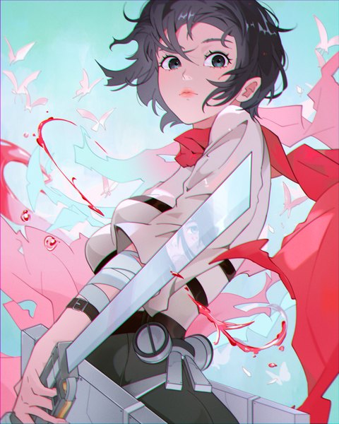 Anime picture 843x1054 with shingeki no kyojin production i.g mikasa ackerman eggychan single tall image looking at viewer short hair black hair upper body black eyes girl weapon sword scarf insect butterfly blood bandage (bandages) red scarf