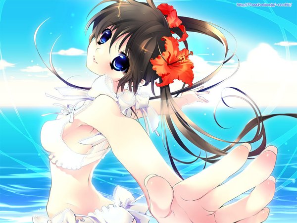 Anime picture 1024x768 with 888 hair flower flower (flowers) hibiscus tagme