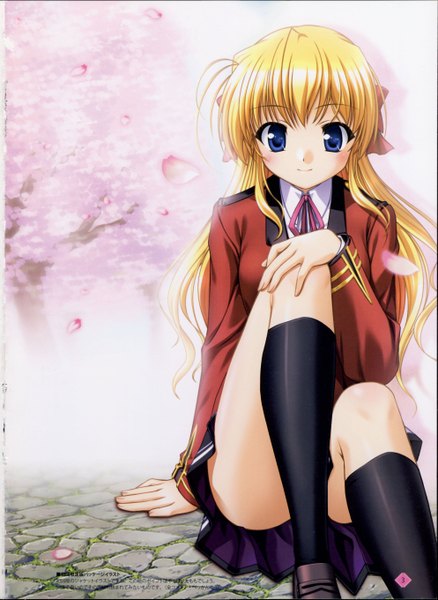 Anime picture 3969x5433 with fortune arterial august soft sendou erika single long hair tall image looking at viewer highres blue eyes blonde hair sitting absurdres legs cherry blossoms girl skirt uniform school uniform petals socks