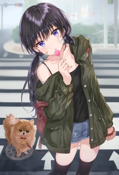 Anime picture 2189x3196 with original tokkyu single long hair tall image looking at viewer blush fringe highres black hair hair between eyes standing purple eyes twintails holding outdoors parted lips off shoulder open jacket zettai ryouiki