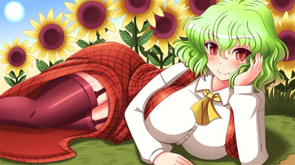 Anime picture 1920x1080 with touhou kazami yuuka shin'en (gyokuro company) single looking at viewer blush highres short hair breasts light erotic smile red eyes wide image large breasts green hair huge breasts girl thighhighs dress black thighhighs