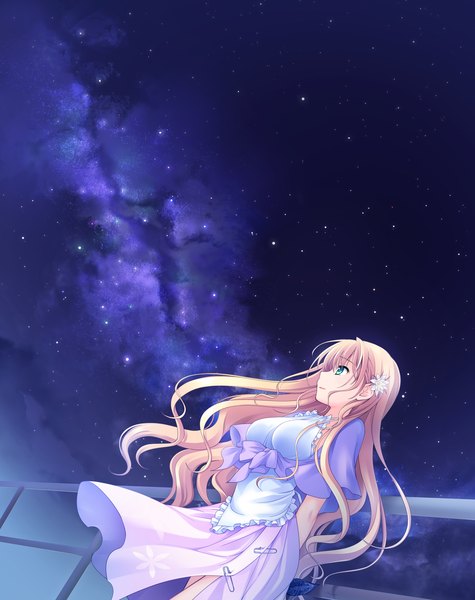 Anime picture 1280x1617 with astraythem ginta long hair tall image blonde hair green eyes game cg night night sky girl dress