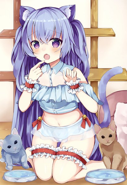 Anime picture 2262x3300 with melonbooks maki soutoki single long hair tall image looking at viewer blush fringe highres open mouth light erotic hair between eyes purple eyes animal ears blue hair tail animal tail cat ears scan midriff