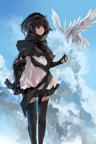 Anime picture 1417x2125 with original paradise (character) swd3e2 single tall image short hair black hair red eyes girl thighhighs dress gloves black thighhighs animal fingerless gloves bird (birds)