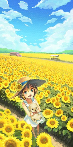 Anime picture 800x1600 with original fukukitaru single tall image blush fringe short hair open mouth blue eyes hair between eyes brown hair standing holding sky cloud (clouds) full body :d from above girl flower (flowers)