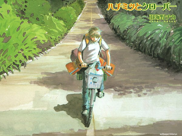 Anime picture 1024x768 with honey and clover j.c. staff takemoto yuuta wallpaper hill bag ground vehicle road bushes bicycle shopping bag