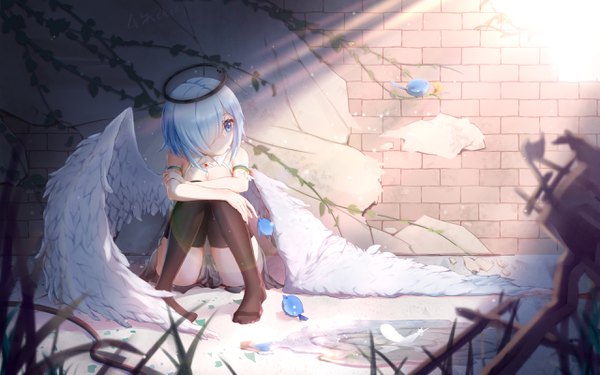 Anime picture 2560x1600 with original qian ze chiz single fringe highres short hair breasts blue eyes light erotic sitting bare shoulders signed blue hair looking away full body sunlight hair over one eye no shoes angel wings leg hug