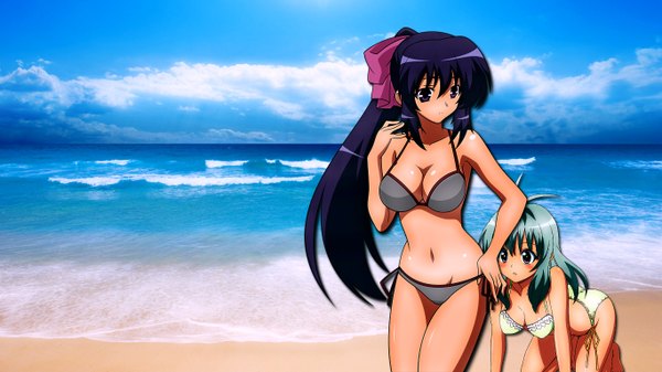 Anime picture 1366x768 with toloveru omamori himari xebec zexcs run elsie jewelria noihara himari long hair light erotic wide image beach swimsuit bikini