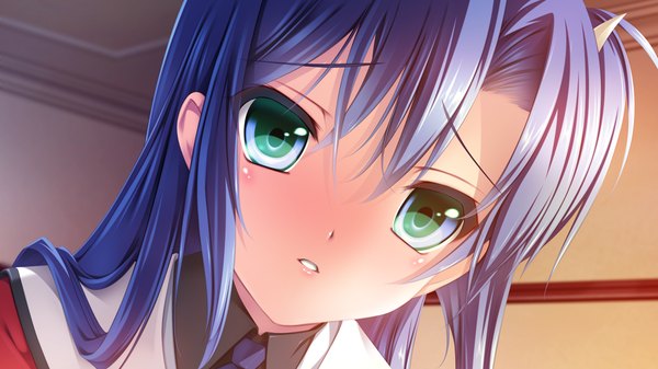 Anime picture 1280x720 with racial merge senomoto hisashi single long hair looking at viewer blush wide image green eyes blue hair game cg face girl