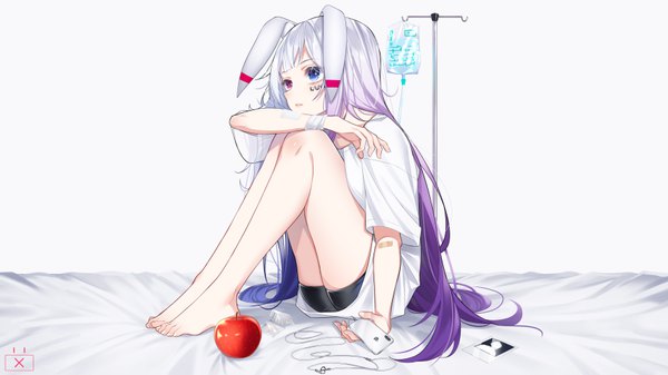 Anime picture 7112x4000 with original the cold single long hair highres blue eyes wide image white background sitting holding animal ears blue hair looking away absurdres silver hair purple hair full body bent knee (knees) pink eyes multicolored hair