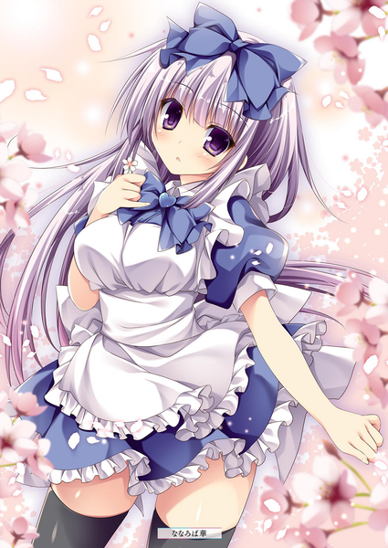 Anime picture 1451x2048 with alice or alice airi (alice or alice) nanaroba hana single long hair tall image looking at viewer blush purple eyes signed silver hair wind scan cherry blossoms girl thighhighs dress flower (flowers) bow black thighhighs