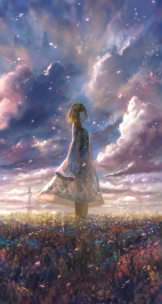 Anime picture 720x1350 with original bounin single tall image looking at viewer fringe short hair hair between eyes brown hair standing sky cloud (clouds) outdoors wide sleeves sleeves past wrists scenic girl flower (flowers) power lines flower field