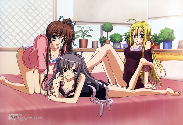 Anime picture 5937x4084 with akane iro ni somaru saka nagase minato katagiri yuuhi highres light erotic cleavage underwear panties