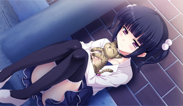 Anime picture 2660x1540 with atled everlasting song long hair highres black hair red eyes wide image twintails game cg pantyshot pantyshot sitting girl thighhighs underwear panties black thighhighs cat