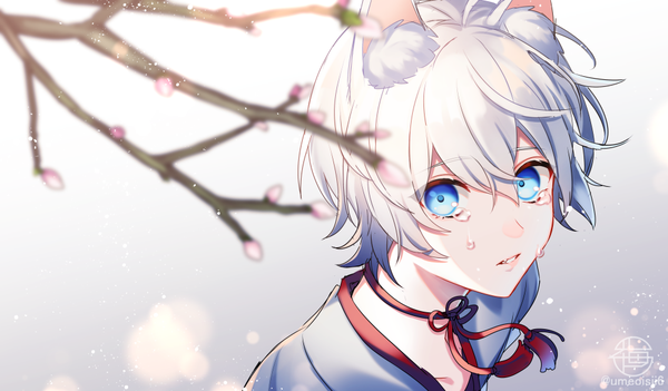 Anime picture 1000x586 with original umeno shii single looking at viewer fringe short hair blue eyes hair between eyes wide image signed animal ears silver hair from above twitter username fox ears tears cherry blossoms shaded face girl branch