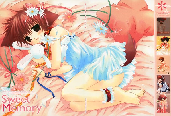 Anime picture 2352x1600 with pure pure hinata sakurazawa izumi highres light erotic dog girl girl underwear panties chain collar
