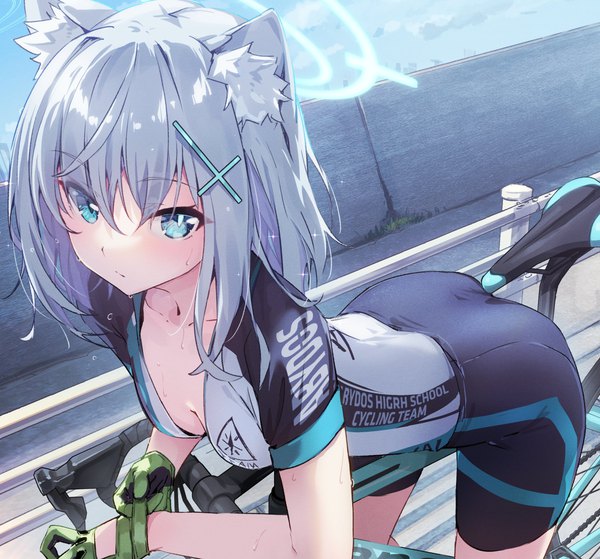 Anime picture 2500x2328 with blue archive shiroko (blue archive) shiroko (cycling) (blue archive) eva mashiro single looking at viewer fringe highres short hair blue eyes light erotic hair between eyes standing animal ears cleavage silver hair outdoors cat ears short sleeves sweat
