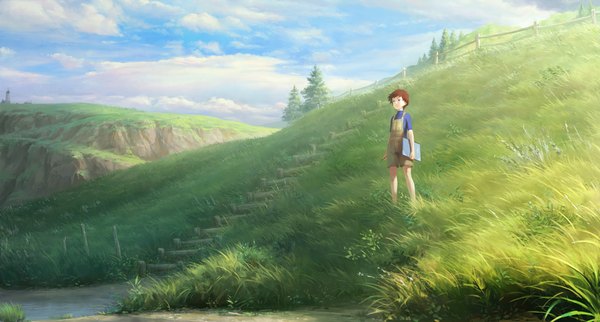 Anime picture 1024x550 with omoide no marnie studio ghibli anna (omoide no marnie) arata yokoyama single fringe short hair brown hair wide image standing holding sky cloud (clouds) outdoors wind girl plant (plants) tree (trees) grass overalls