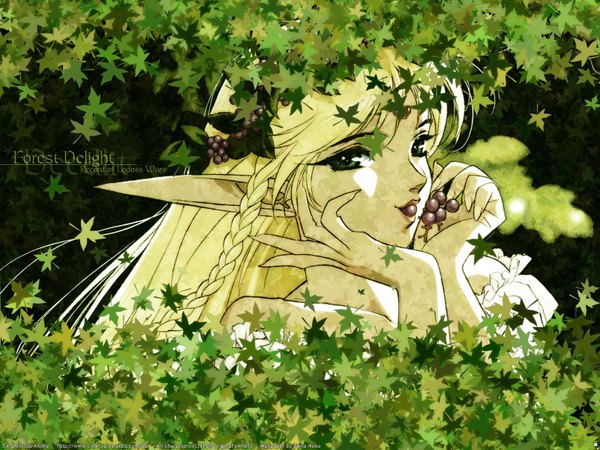 Anime picture 1600x1200 with record of lodoss war deedlit tagme